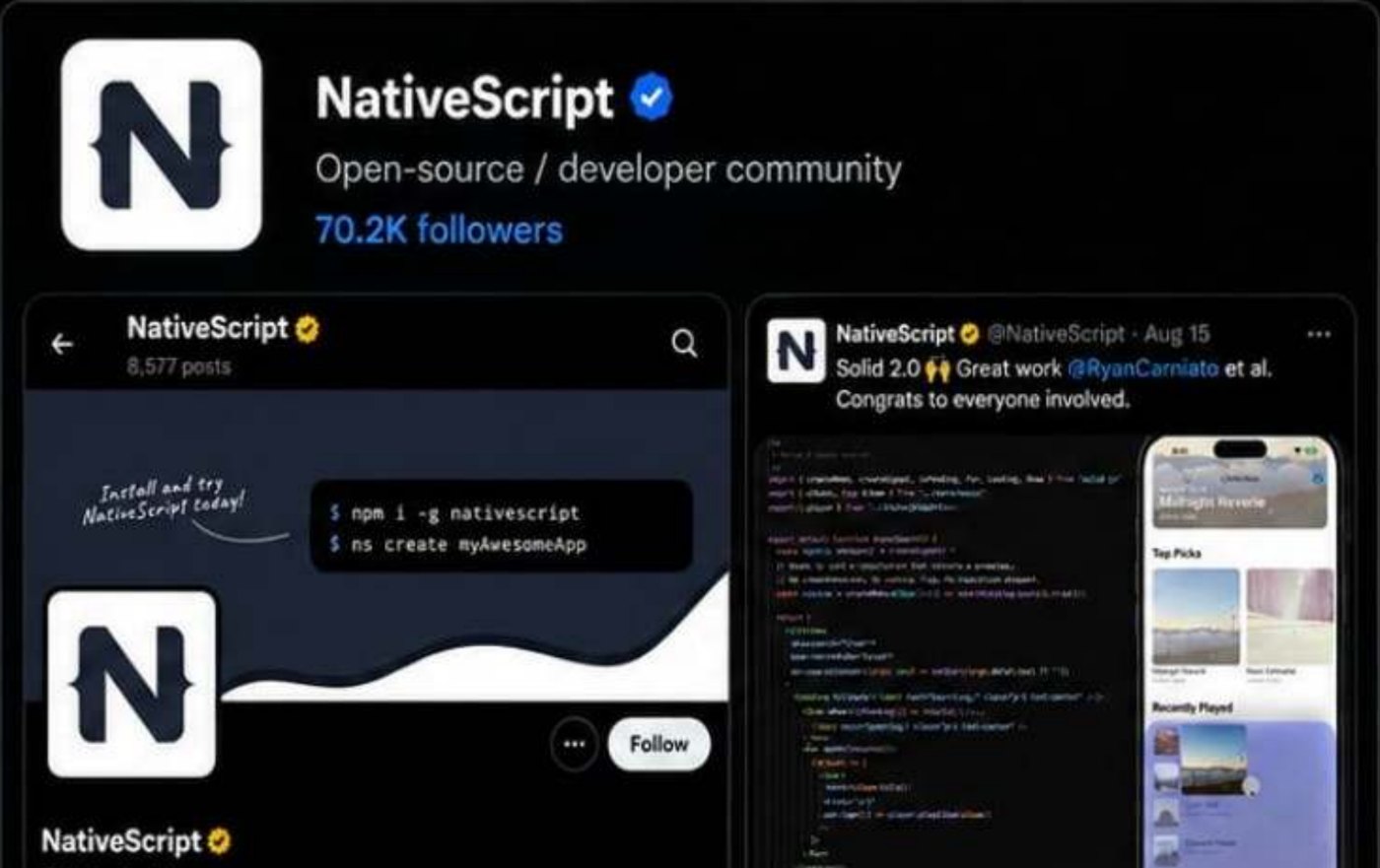 Portfolio visual for NativeScript