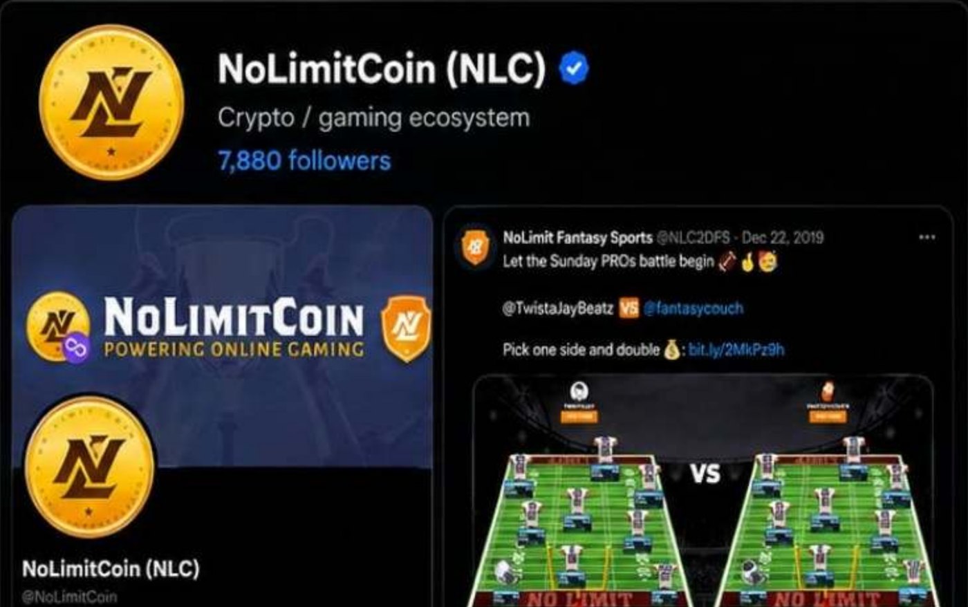 Portfolio visual for NoLimitCoin