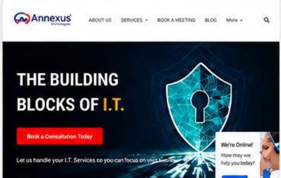 Portfolio visual for Annexus Technologies